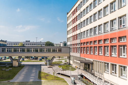 广州技术职业学校招生信息深度解析，探寻优质教育资源的起点