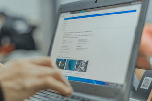 揭秘，如何轻松查询2020中考成绩——官方网址详解