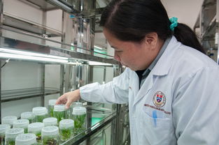 教育部直属师范大学，引领教育变革，培育卓越人才