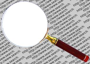 四级准考证号解析，含义、查询与重要性
