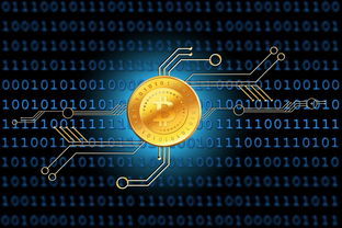 西安疫情数据地图最新报告，全面分析疫情现状与趋势