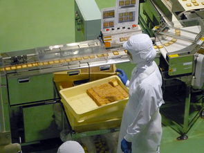 兰州最新疫情电话咨询，信息更新与公众咨询渠道的重要性