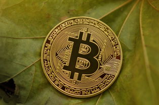 一分钟普及“微信拼三张金花房卡多少钱”获取房卡方式